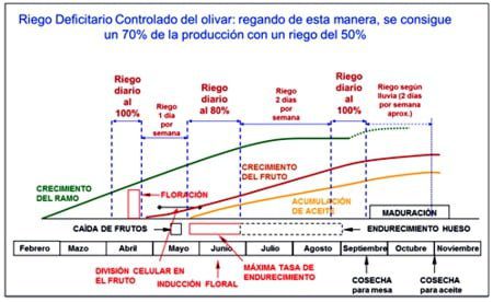 Clase magistral gratuita en línea 100 palabras extranjeras Tecnología de memorización por hora