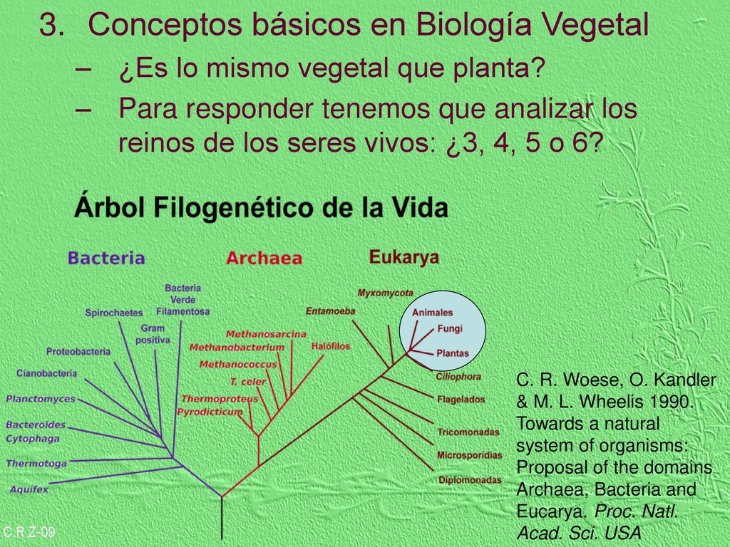 Conceptos básicos de biología