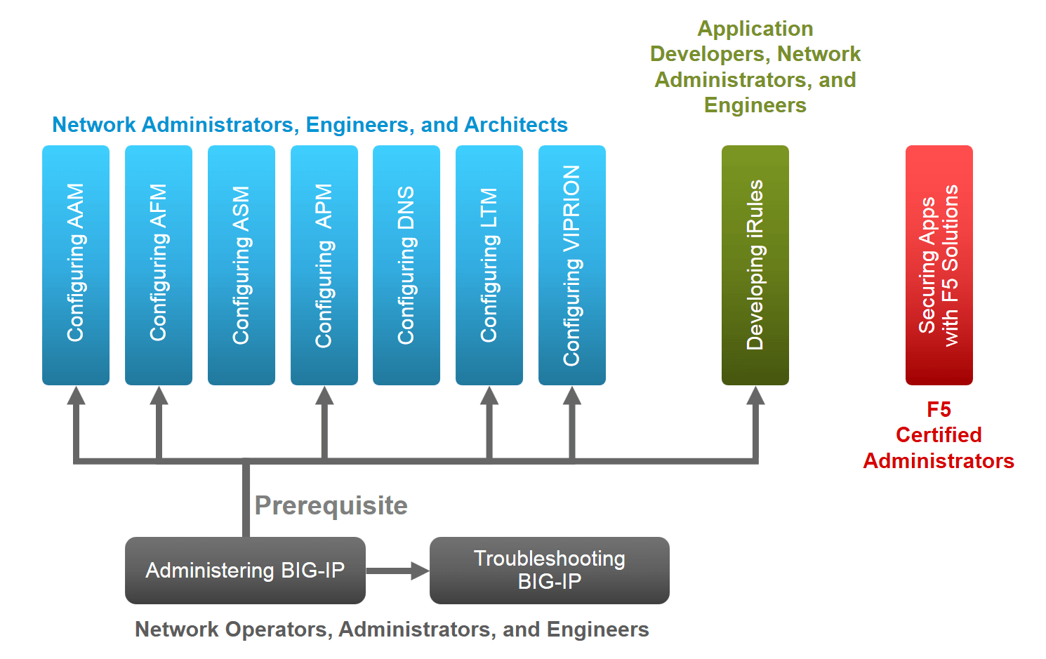 Curso de formación funcional en línea