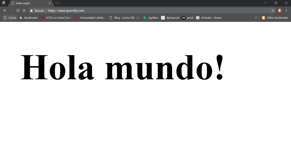 Exponer su aplicación local Node.js al mundo