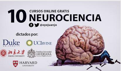 Fundamentos de la Neurociencia, Parte 3: El Cerebro