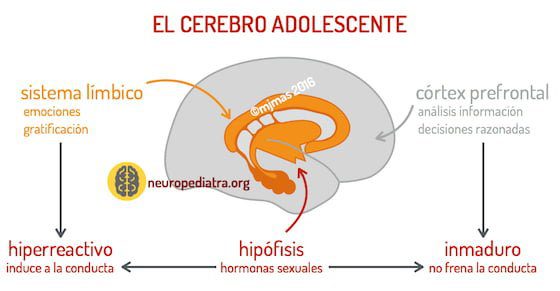 Liberaciones de bajo riesgo: Aumentar la velocidad a través del desarrollo de habilidades