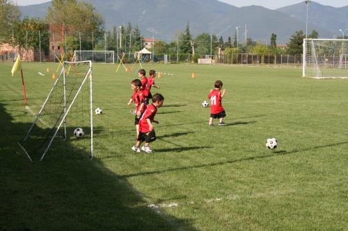 Nuestra nueva categoría de entrenamiento y por qué su equipo lo necesita