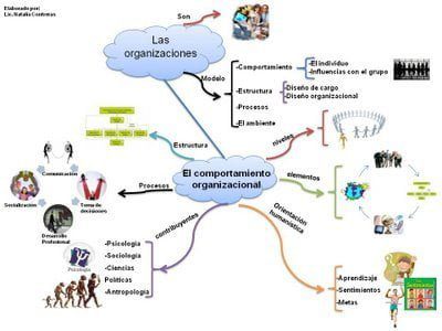 Teoría de la organización