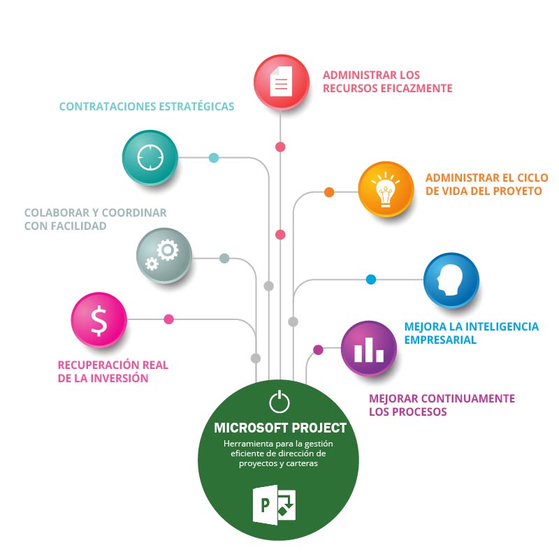 Una introducción al Proyecto Microsoft 2010 y 2013